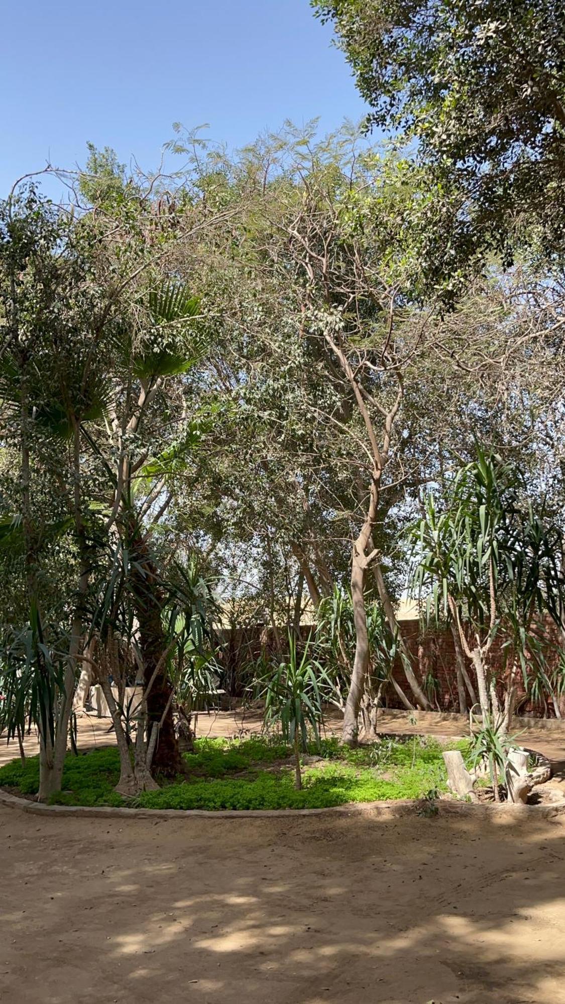 Villa By The Pyramids Le Caire Extérieur photo