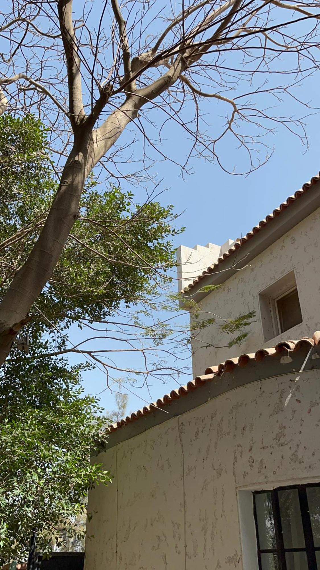 Villa By The Pyramids Le Caire Extérieur photo